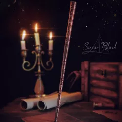 SIRIUS BLACK WAND - HARRY POTTER 3D print model