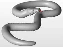 Snake