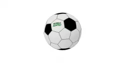 SOCCER BALL