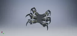 spider robot