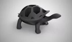 Turtle Organizer 3D print model