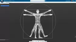 Vitruvian Man