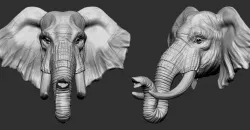 Elephant  3D print model