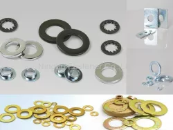 Flat washers