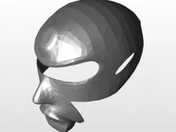 Mask Model