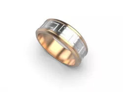 ring with a twisting center 3D print model
