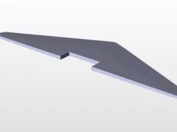 Slender Delta Wing