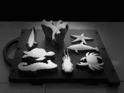 Animals 3D printed