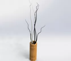 Decorative Indoor Plant