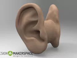 Earphone Tyde