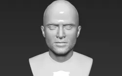 Jesse Pinkman Breaking Bad bust 3D printing ready stl obj  3D print model