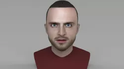Jesse Pinkman Breaking Bad bust ready for full color 3D printing 3D print model