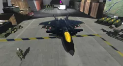 Modern Stealth Combat Aircraft