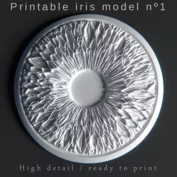 Pritable iris model 1 3D print model