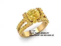 737 Diamond Ring 3D print model