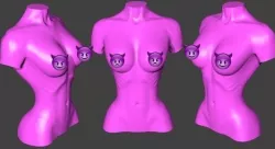 A girl torso 3D print model