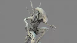 Alien Xenomorph 3D Print Model 3D print model