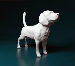 beagle 3D print model