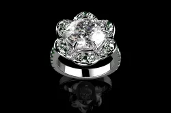 Beautiful Fashion Jewelry Ring N2 3D print model