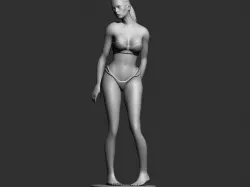 Bikini Modeling 3D print model