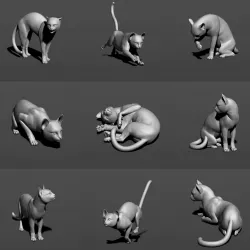 Cat in 10 poses 3D print model