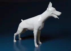 Doberman Pinscher 3D print model