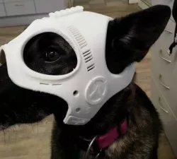 Dog Ranger Spy Helmet Stl mask File 3D print model