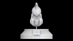 Dragon Ball GT Baby 3D print model