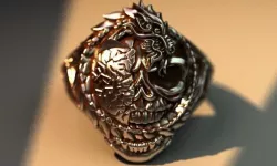 Dragon born for death 3D print model