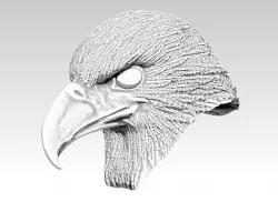 Eagle hawk  falcon  bird head bust 3D print model