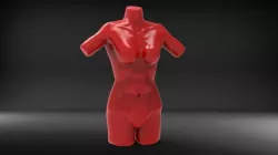 Female Torso 3D print model