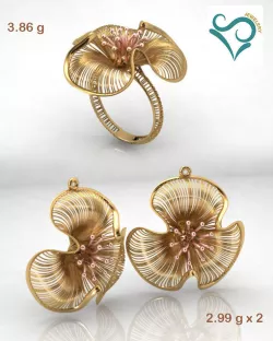 Gold earrings and ring  wedding Jewellry 3d printable  3D print model