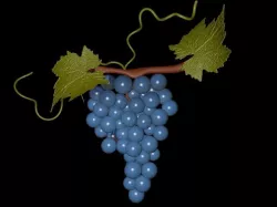 Grape 3D print model