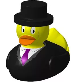 Groom - Duck 3D print model