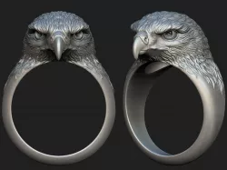 Hawk ring  3D print model