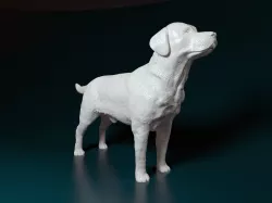 Labrador dog 3D print model