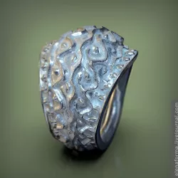 Massive archaic silver ring with natural ornament 3d print model 3D print model