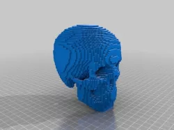 Minecraft skull