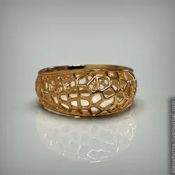 Organic mesh ring print model with video 3D print model