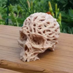 Root Skull 3D print model