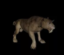 Sabertooth 3D print model