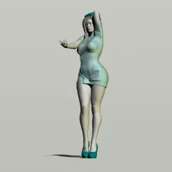 Sexy Nurse 3D print model