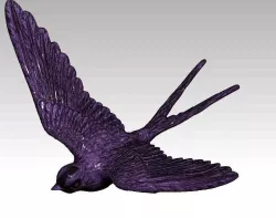 Swallow bird 3D print model