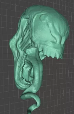 Venom Head 3D print model