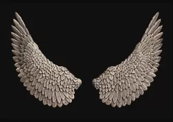 Wings 3D print model