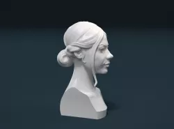 Woman Hair Style 3D print model