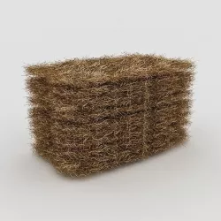 3D Straw 3D model