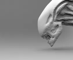 Alien Xenomorph Head Inner Mouth Inside Accessory   3D print model
