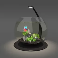 Aquarium bowl 3D model