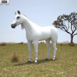 Arabian Horse 3D model